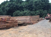 长沙路基箱